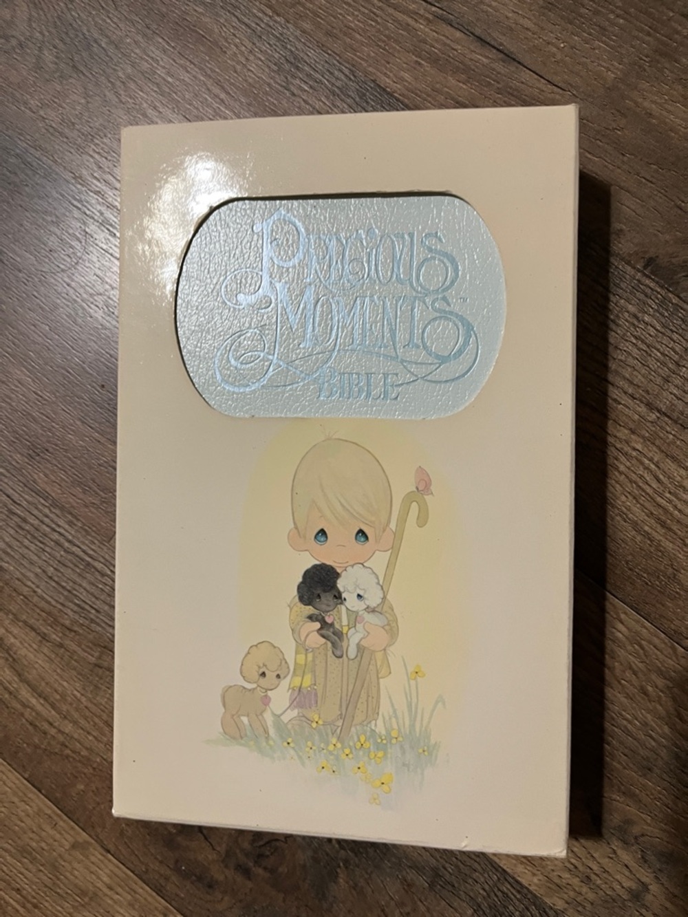 Precious Moments Bible